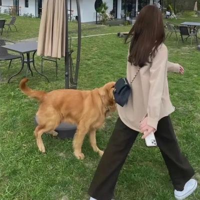 人狼游戏:疯狂大陆