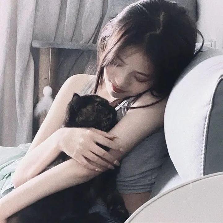 火鸟的沼泽